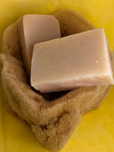 Coconut Lime Goat's Milk Soap