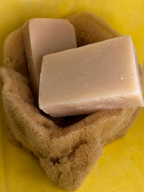 Coconut Lime Goat's Milk Soap
